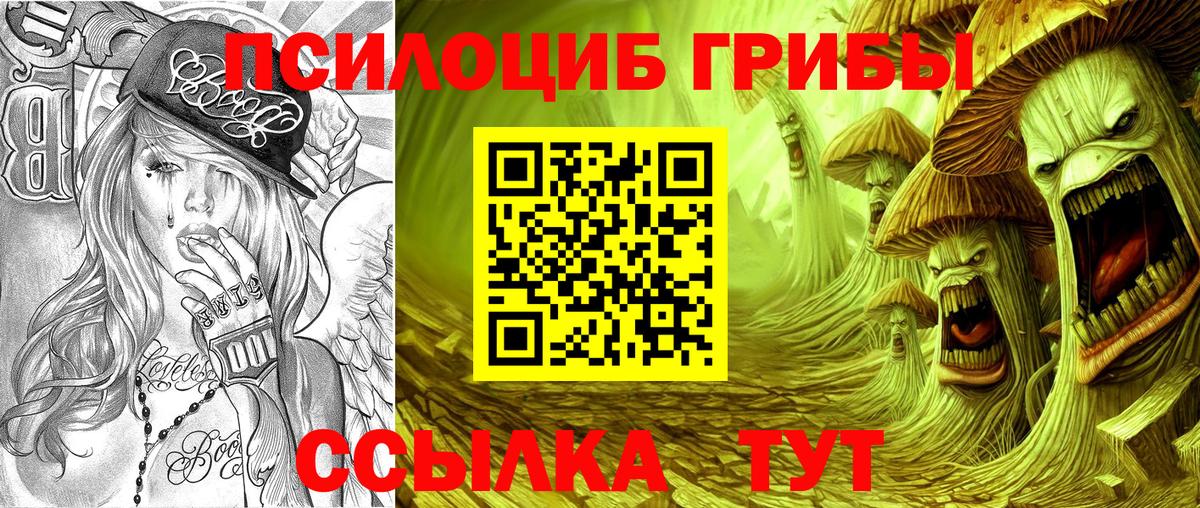 Галлюциногенные грибы Psilocybine cubensis  Вход с VPN  Трёхгорный 